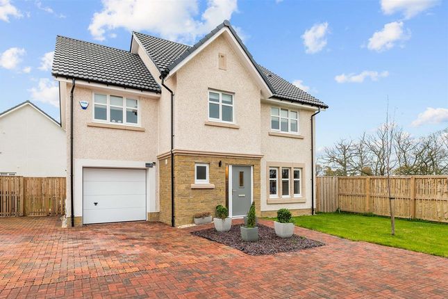 Thumbnail Detached house for sale in Alex Watters Crescent, Kinnaird, Larbert