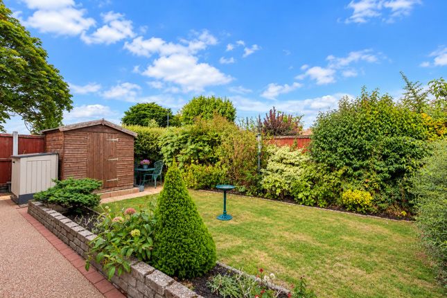 10, Bree Avenue, Colchester photo 2