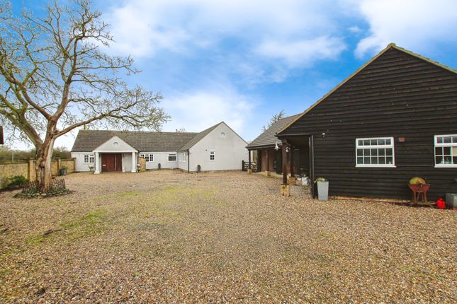 Thumbnail Bungalow for sale in Redfen Road, Little Thetford, Ely, Cambridgeshire