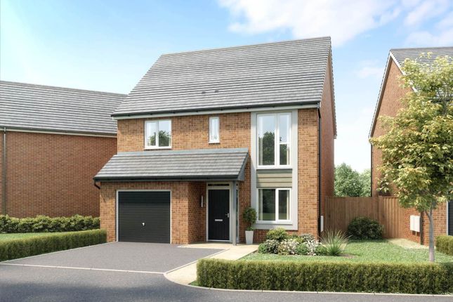 Detached house for sale in "The Hannington" at Acacia Lane, Branston, Burton-On-Trent