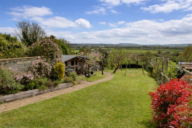 39, Calne photo 2