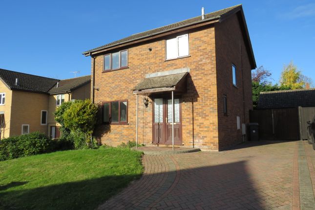 Thumbnail Detached house to rent in New River Green, Exning, Newmarket