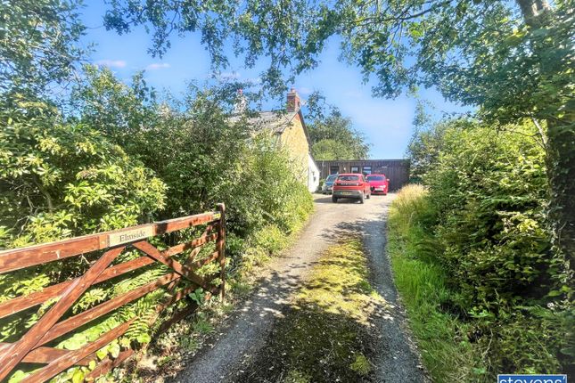 Elmside, Halwill Junction, Beaworthy photo 3