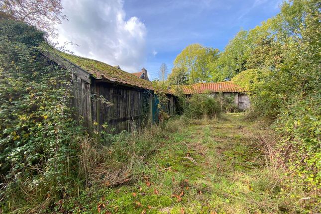 Grange Farm, Long Row, Tibenham photo 2