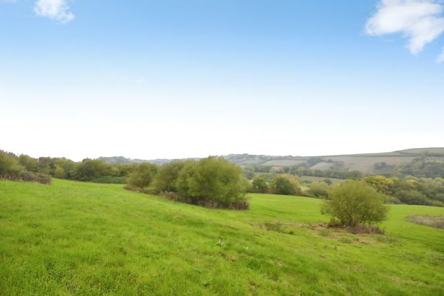 Whitestone, Devon photo 4