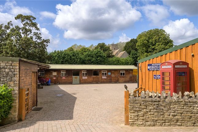 Stables And Yard