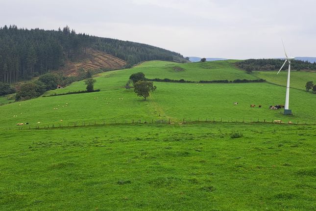 Land for sale in Llanafanfawr, Builth Wells, Powys.