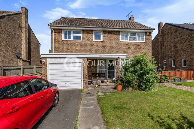 Thumbnail Detached house to rent in Dale Road, Sadberge, Darlington
