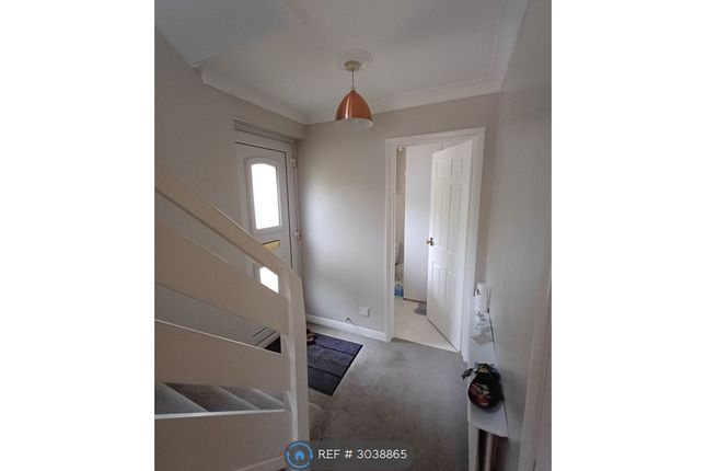 Wynton Grove, Walton-On-Thames photo 3