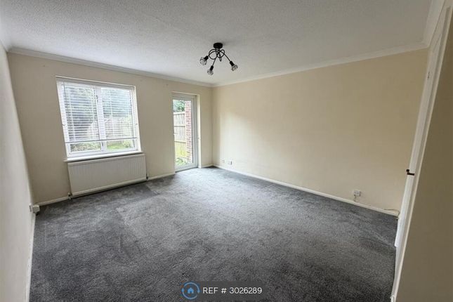 Bramham Moor, Fareham photo 2