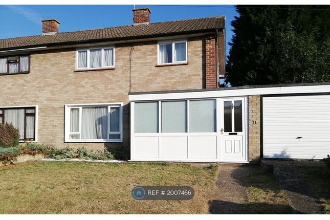 Semi-detached house to rent in Little Platt, Guildford GU2