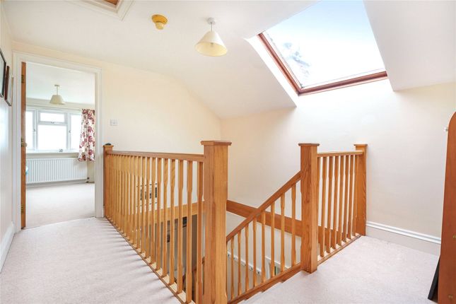 Detached house to rent in Old Taunton Road, Dalwood, Axminster, Devon