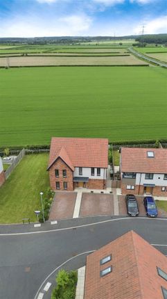 Drone Image - Field Views