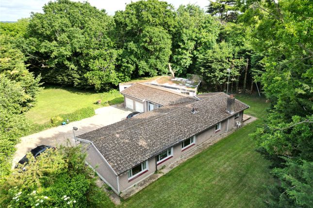 The Lodge, Kingsbury photo 2