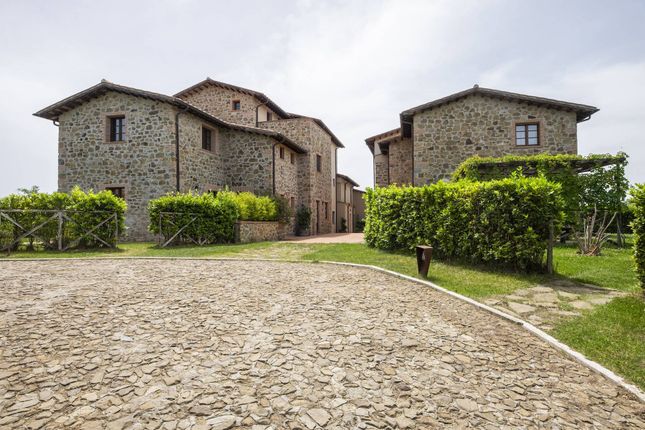Apartment for sale in Località Case Sparse, Scansano, Toscana
