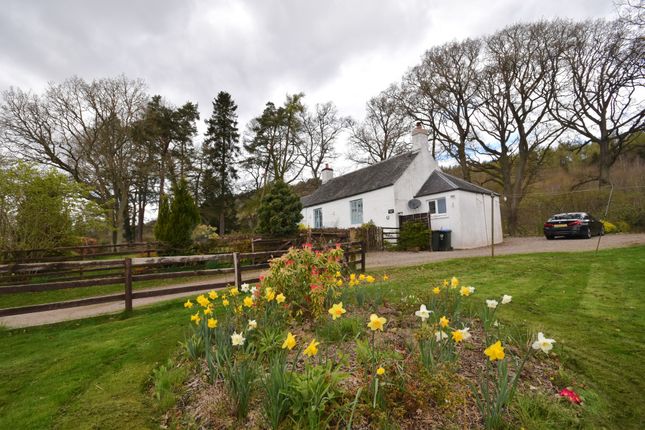 Cottage to rent in Manse Road, Caputh, Perthshire