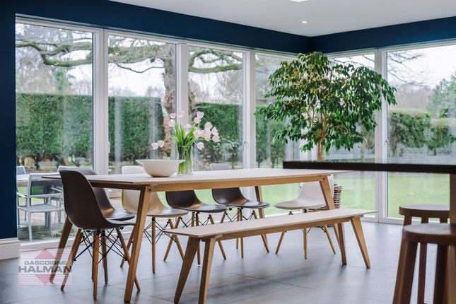 Living-Dining Kitchen