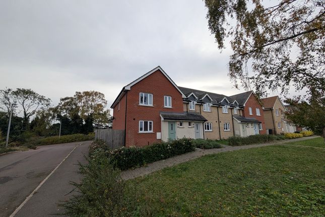 Pxl_20251030_145649387