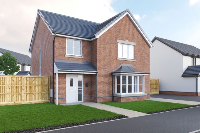 Thumbnail Detached house for sale in The Llanmaes, Cae Sant Barrwg, Pandy Road, Bedwas