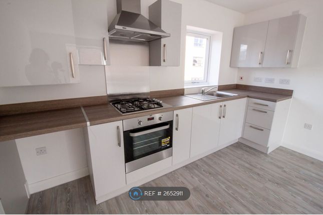 Brand New Kitchen