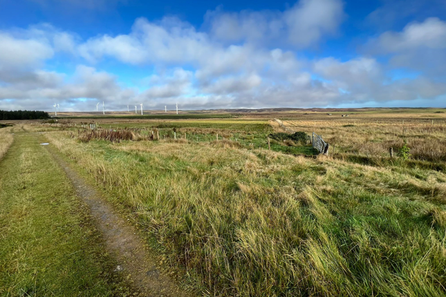 Land for sale in Midclyth, Lybster
