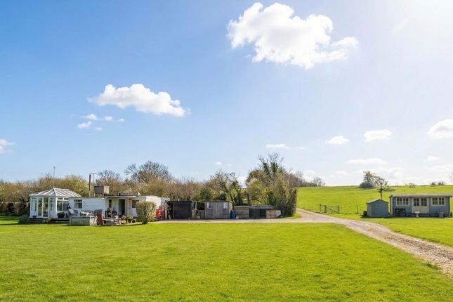 BEAU PADDOCK, EASTON, WELLS photo 4