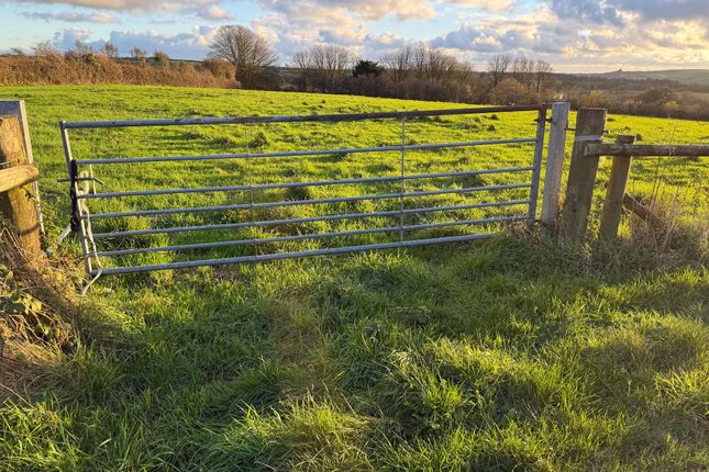 4.84 Acres of Pasture Land and Scrubland, at New Holmus, Haverfordwest photo 4