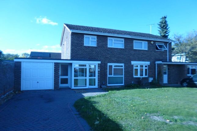 Thumbnail Property to rent in Shirley Close, Milton, Cambridge