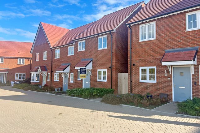 Processed4Bcfe0A1710444849c6B9E1B8Dacd806Dp