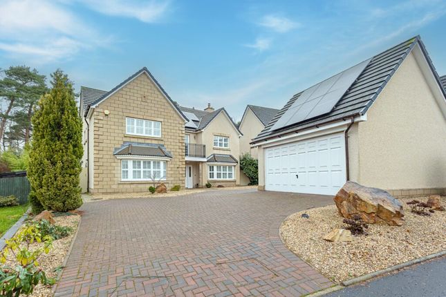 Thumbnail Detached house for sale in Douglas Avenue, Airth