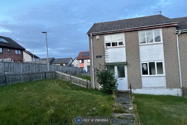 Barra Terrace, Dundee photo 4