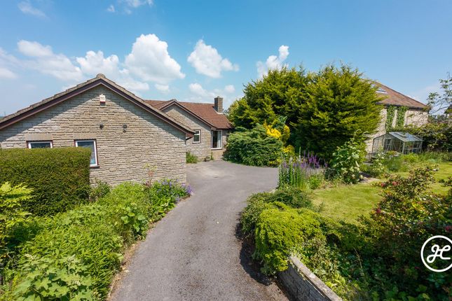 Thumbnail Detached bungalow for sale in The Drive, Woolavington, Somerset