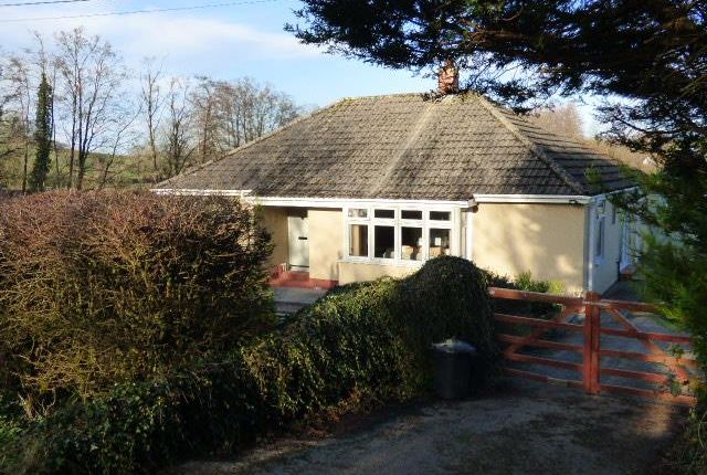 Detached bungalow for sale in Porthyrhyd, Carmarthen