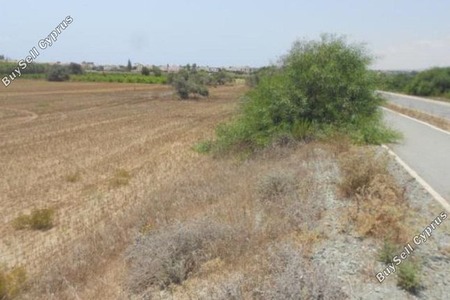 Land for sale in Mazotos, Larnaca, Cyprus