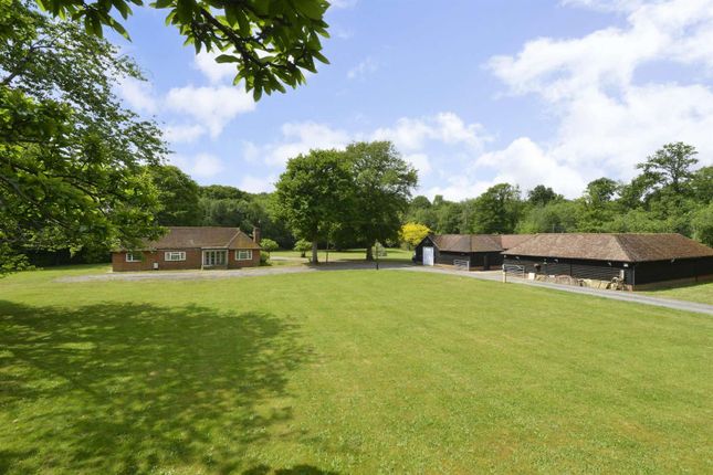4-bed house on North View, Plaistow Road, Dunsfold, £1,500,000