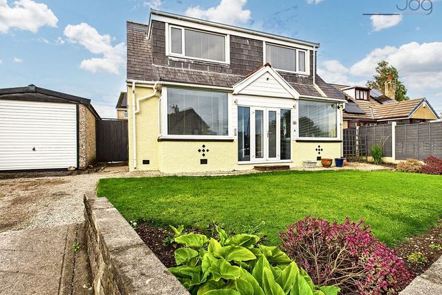 Welcome To Carr Lane