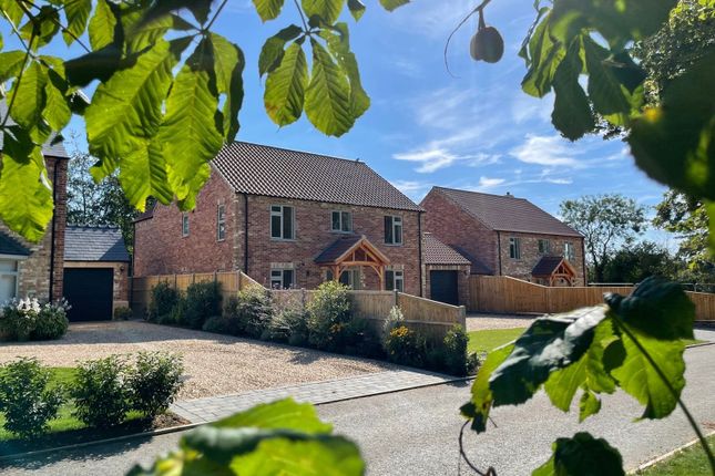 Thumbnail Detached house for sale in Knott Hall Gardens, Helpringham, Sleaford