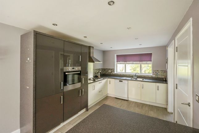 61, Baker Avenue, Doncaster photo 3