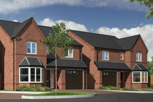 Thumbnail Detached house for sale in Oak View, Ansley, Nuneaton