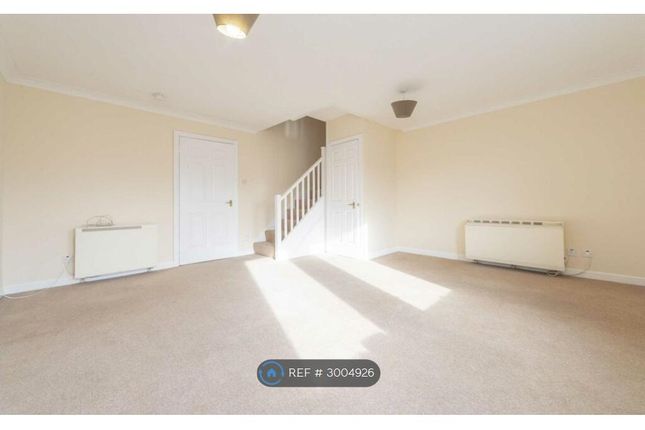 Flat, Tantallon Road Shawlands, Glasgow photo 2
