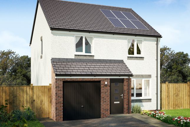 Thumbnail Detached house for sale in "The Kearn" at Bellside Road, Cleland, Motherwell