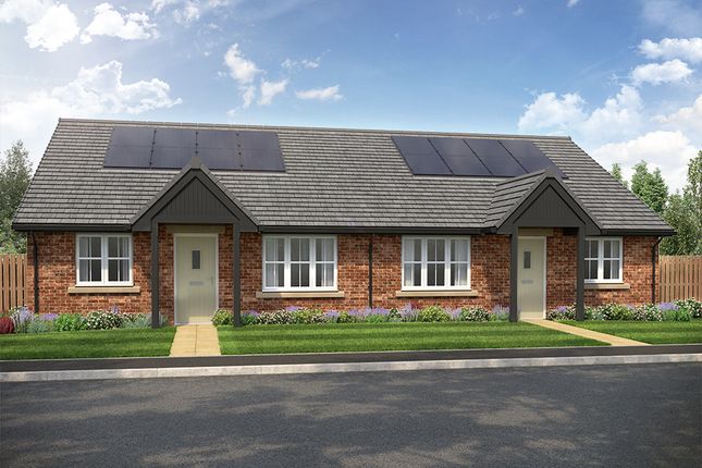 Thumbnail Bungalow for sale in "Newford" at Wampool Close, Thursby, Carlisle