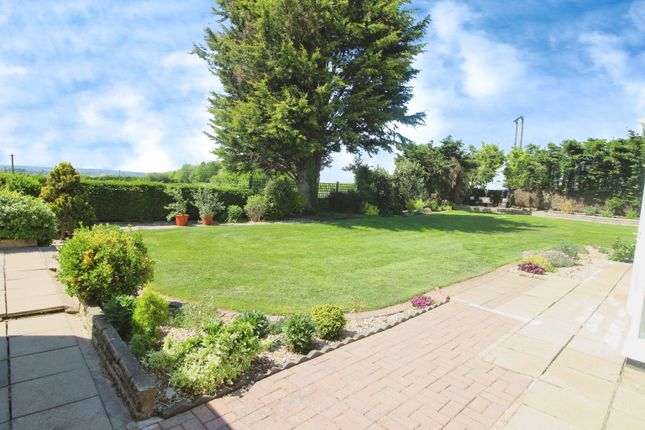 Rear Garden.Jpg