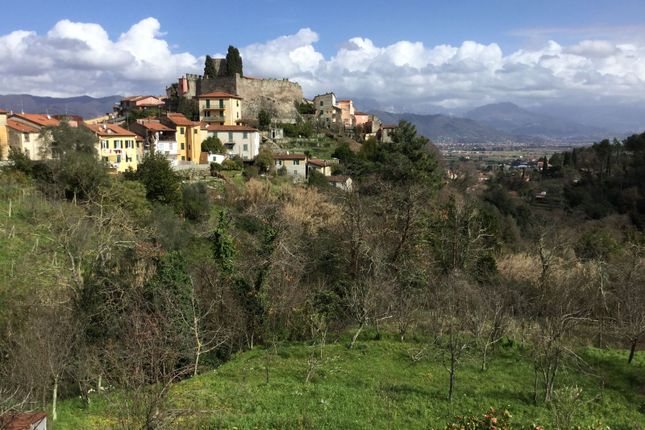 Property for sale in Tuscany, Italy