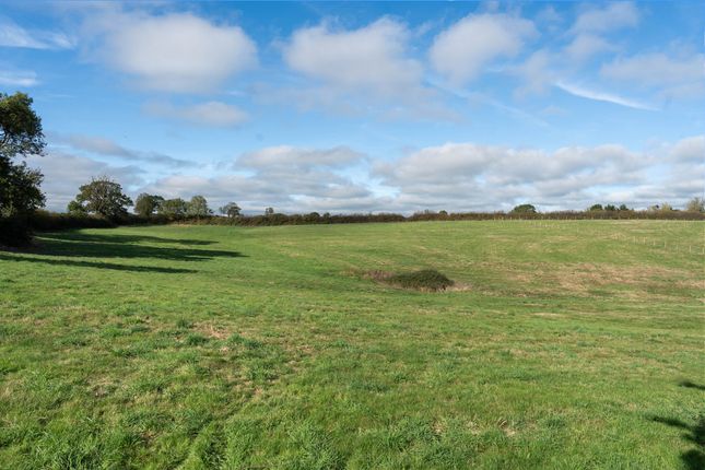 Sutton Orchard, Crediton photo 2