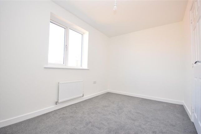 29, Corby photo 5
