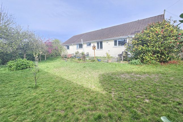 Thumbnail Bungalow for sale in Rye Park, Beaford, Winkleigh