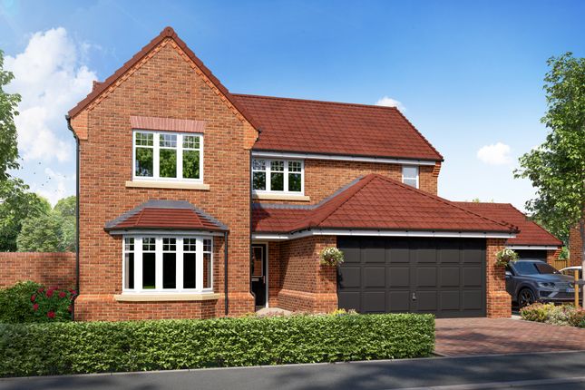 Thumbnail Detached house for sale in Plot 46 The Warkworth, The Hawthornes, Station Road, Carlton