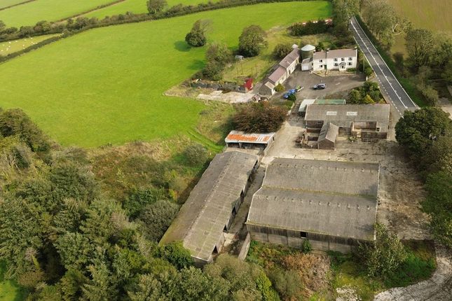 Blaengafren Farm, Eglwyswrw, Crymych photo 2