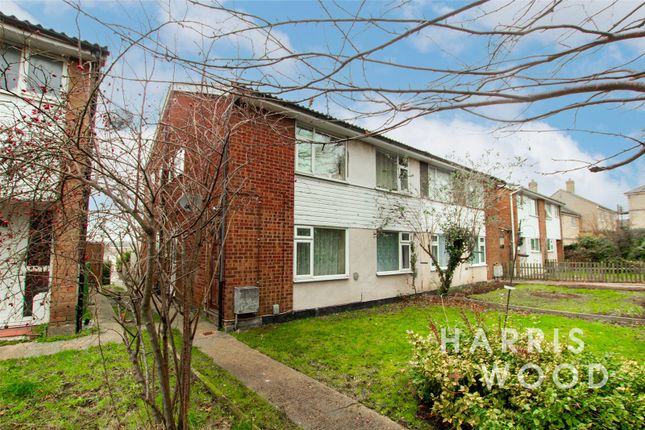 Thumbnail Maisonette for sale in Ipswich Road, Colchester, Essex